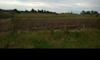 Campo en venta- Paso de la Arena