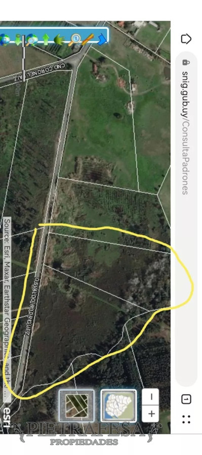 Terreno ID.11968 - Terrenos en venta- Abayubá  