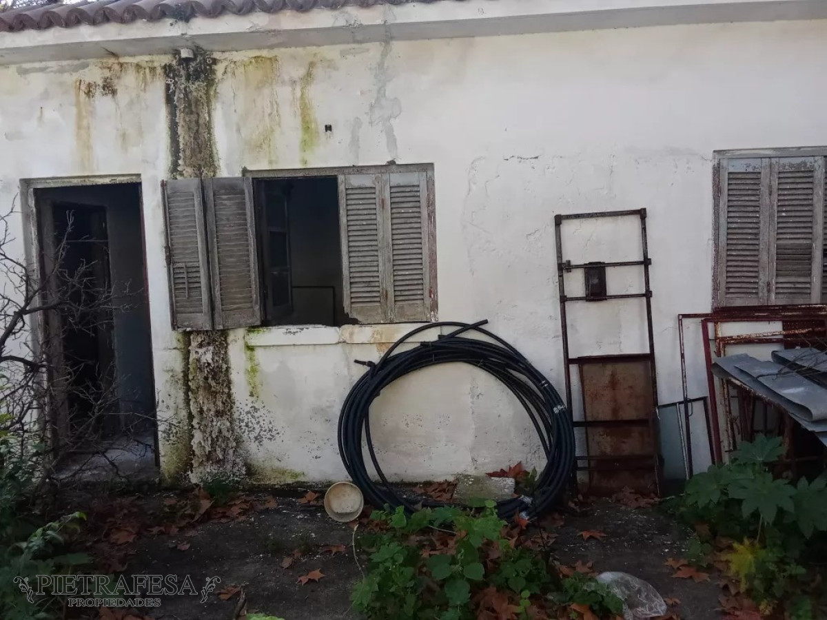 Terreno ID.9980 - Terreno zona Unión
