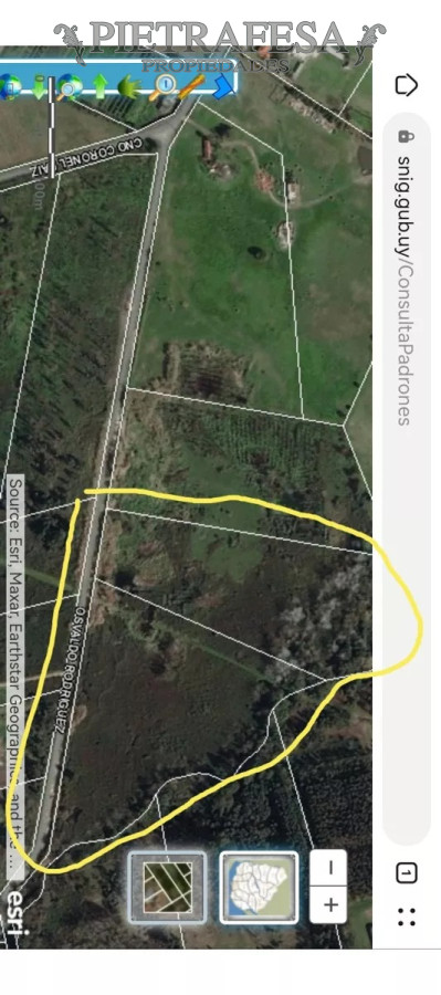 Terreno ID.11968 - Terrenos en venta- Abayubá  