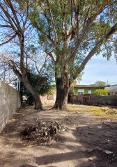 Terreno de 650 m² - Alberto Zum Felde esq. Godoy