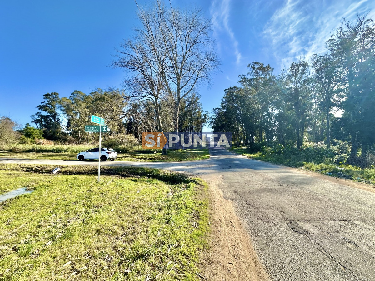 Terreno en venta - SPT11083T