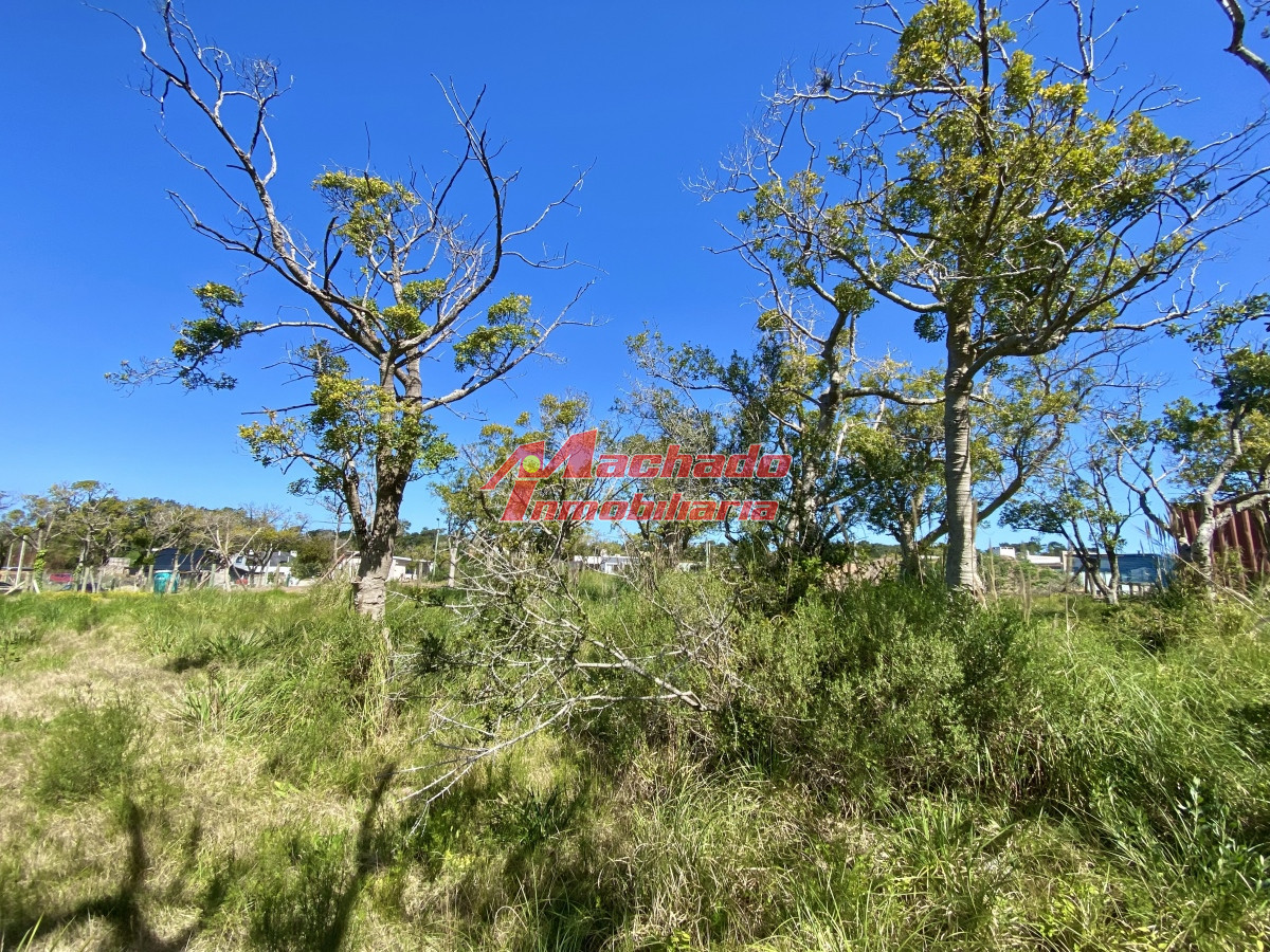 Piedras del Chileno - GoPunta - Portal Inmobiliario de Punta del Este - Maldonado