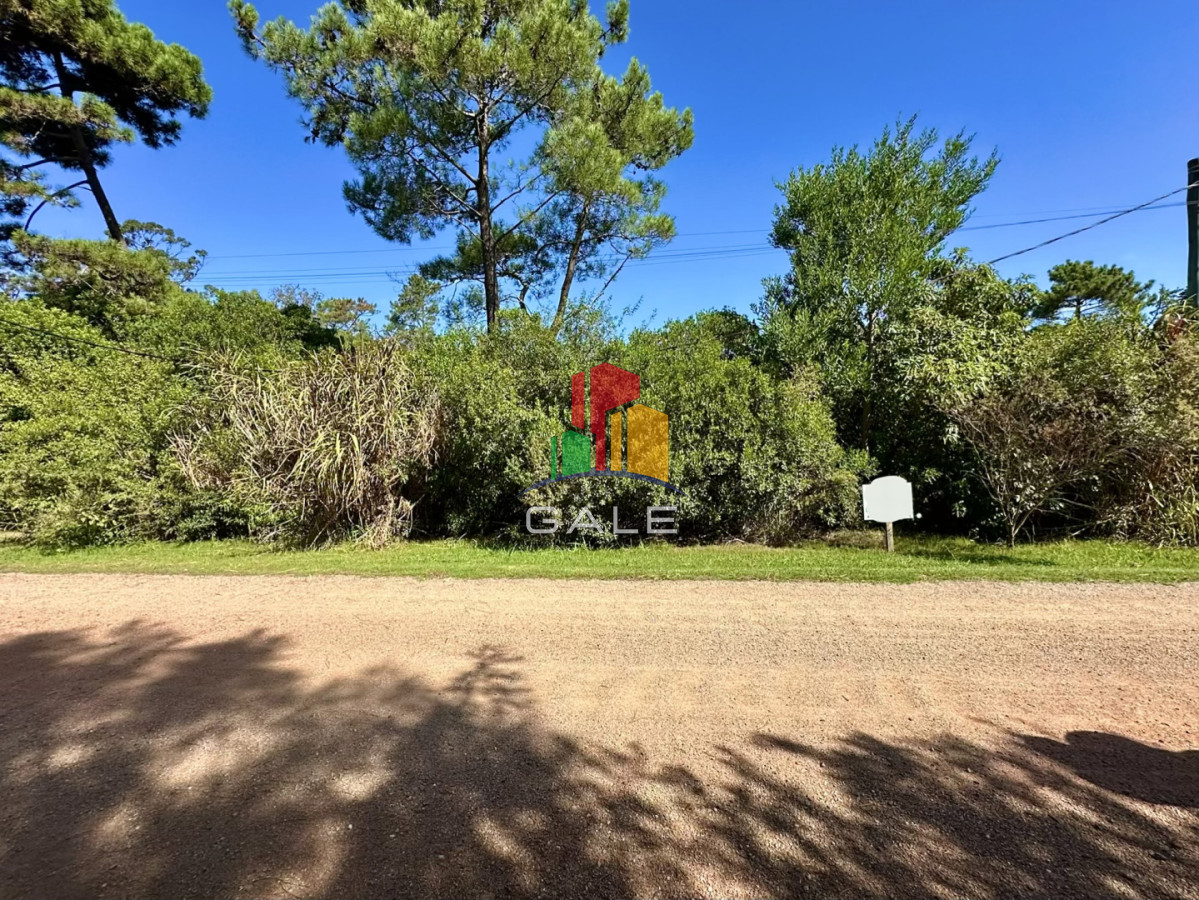 Terreno en Ocean Park, Punta Ballena - GAL5089T