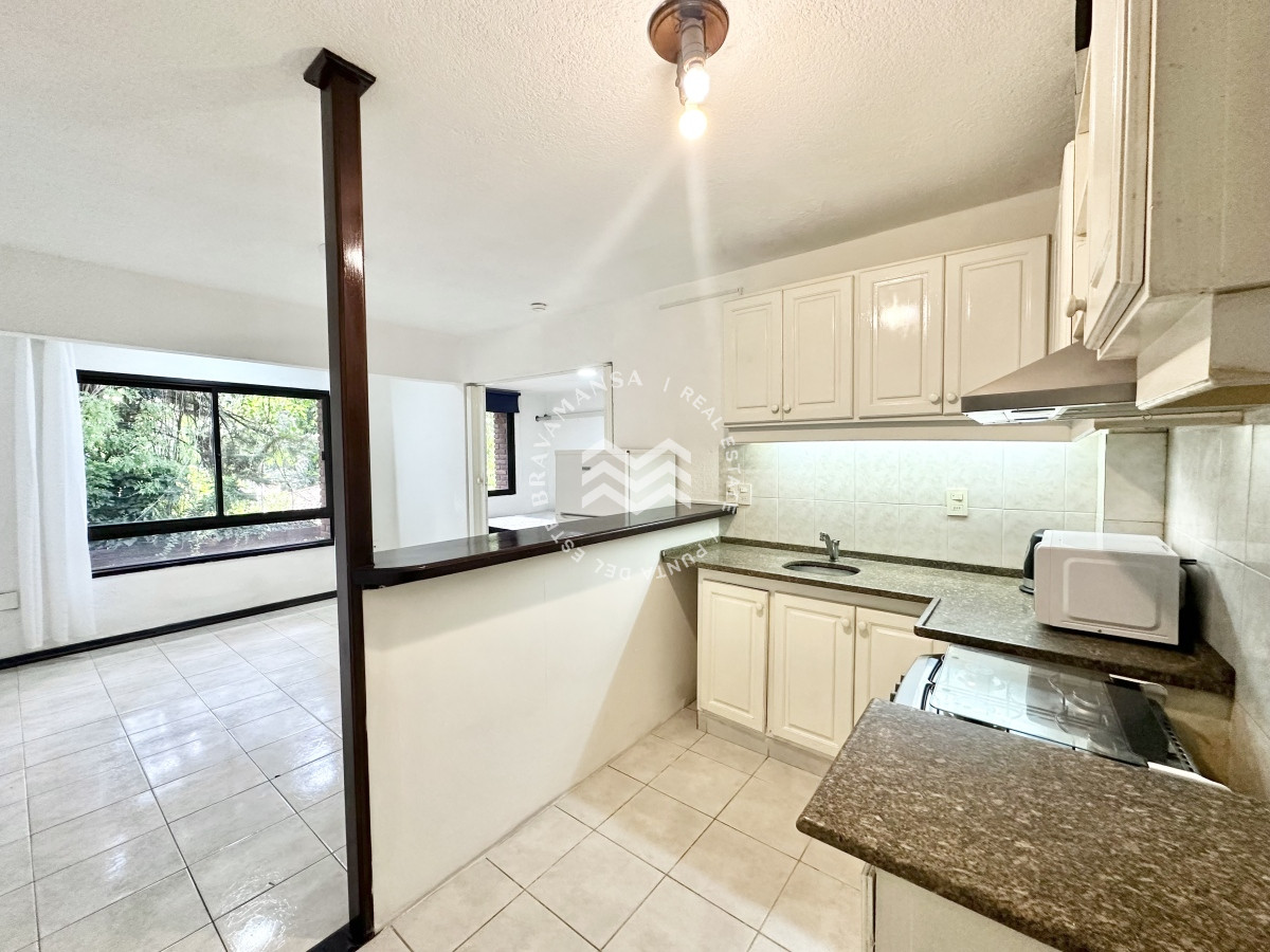 Apartamento ID.342 - Apartamento Alquiler 1 dormitorio Punta del Este Roosevelt