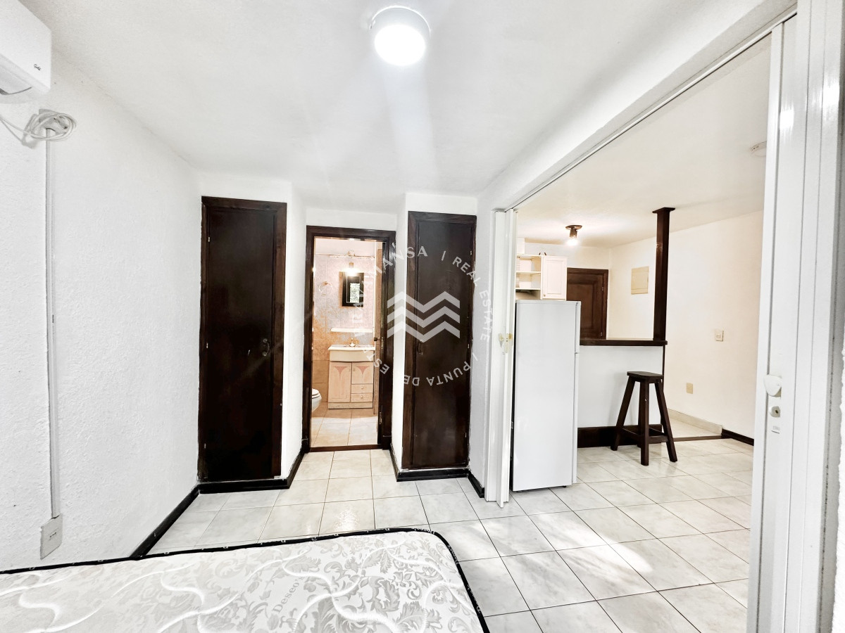 Apartamento ID.342 - Apartamento Alquiler 1 dormitorio Punta del Este Roosevelt
