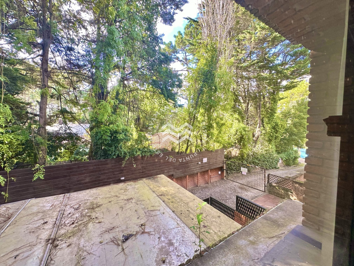 Apartamento ID.342 - Apartamento Alquiler 1 dormitorio Punta del Este Roosevelt