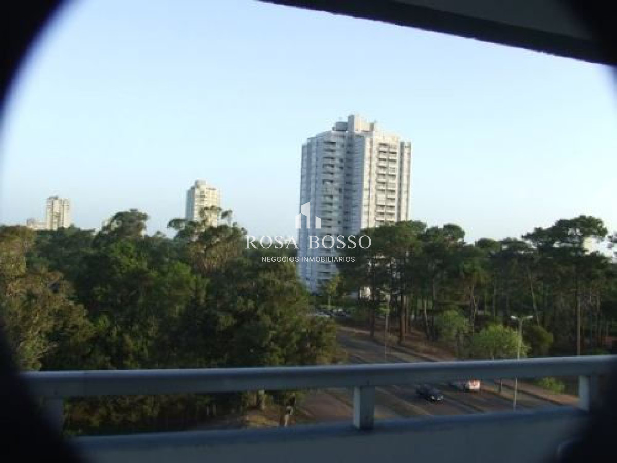 Roosevelt - GoPunta - Portal Inmobiliario de Punta del Este - Maldonado