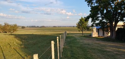 venta chacra zona josé ignacio de 6575 m2 - rbs4460h