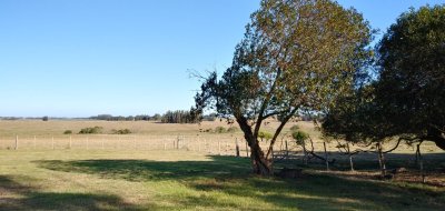 venta chacra zona josé ignacio de 6575 m2 - rbs4460h