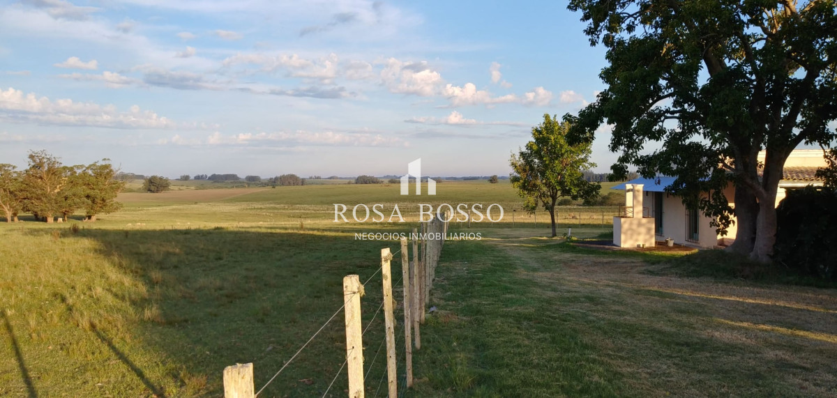 Venta Chacra zona José Ignacio de 6575 m2 - GoPunta - Portal Inmobiliario de Punta del Este - Maldonado
