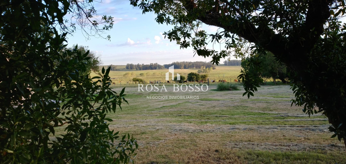 Venta Chacra zona José Ignacio de 6575 m2 - GoPunta - Portal Inmobiliario de Punta del Este - Maldonado