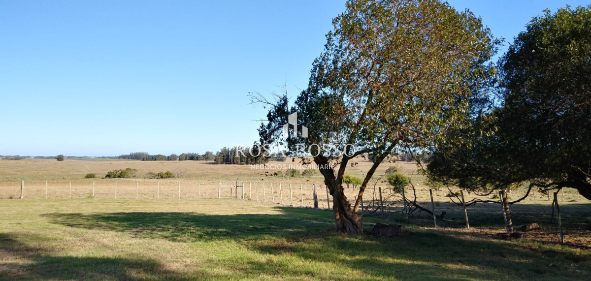 Venta Chacra zona José Ignacio de 6575 m2 - GoPunta - Portal Inmobiliario de Punta del Este - Maldonado