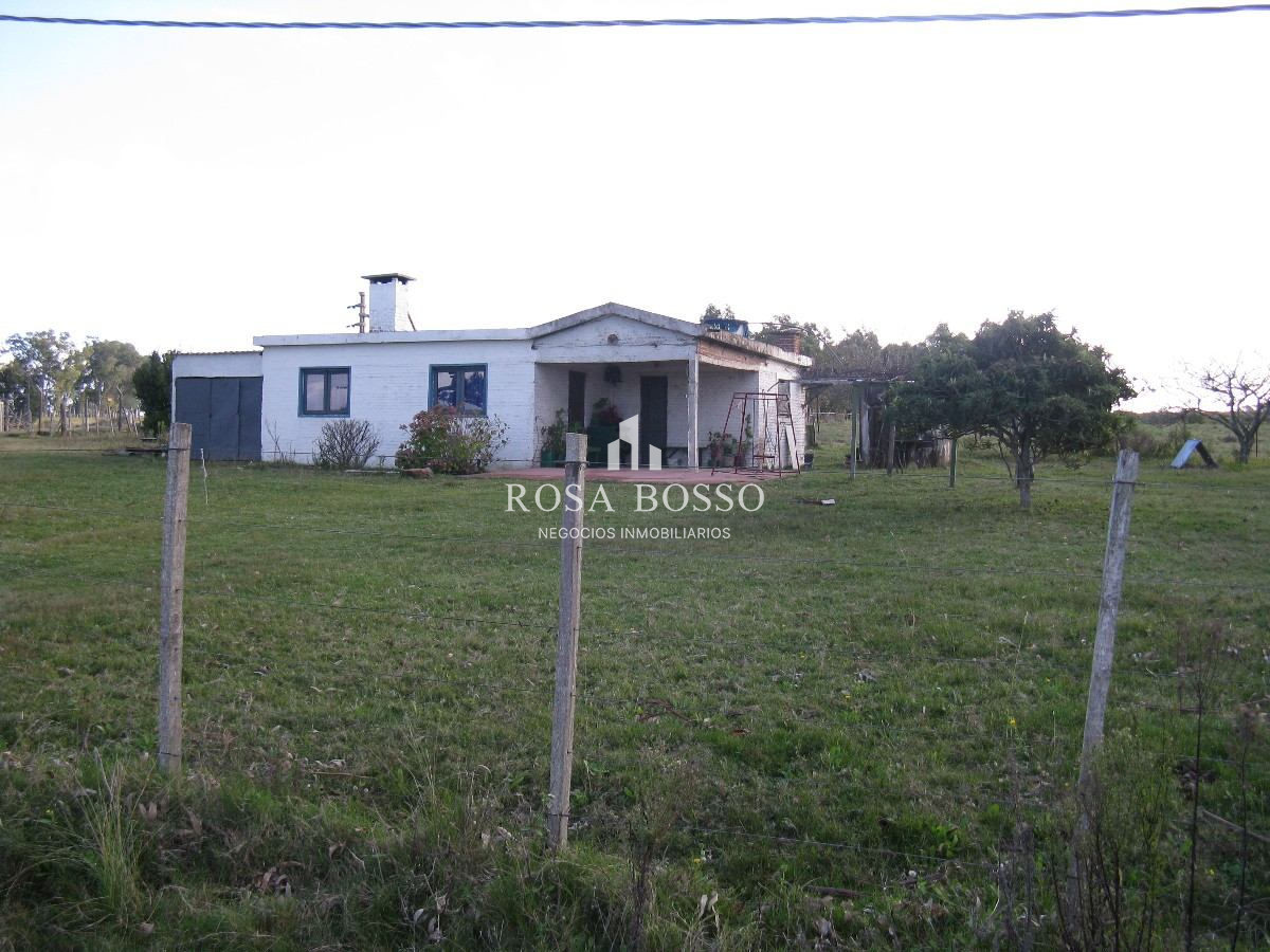 Apartamento ID.4547 - 