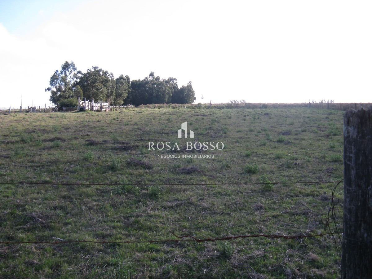 Apartamento ID.4547 - 