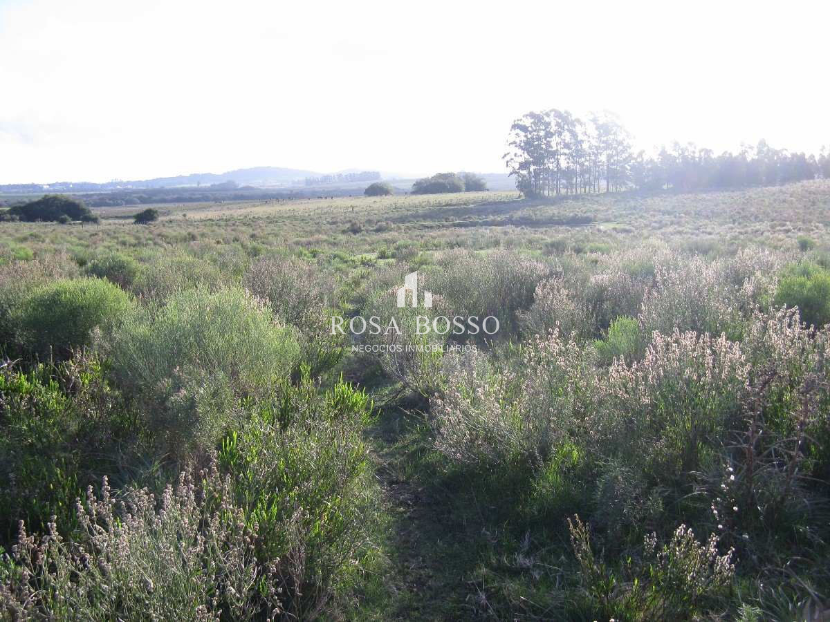 Apartamento ID.4547 - 