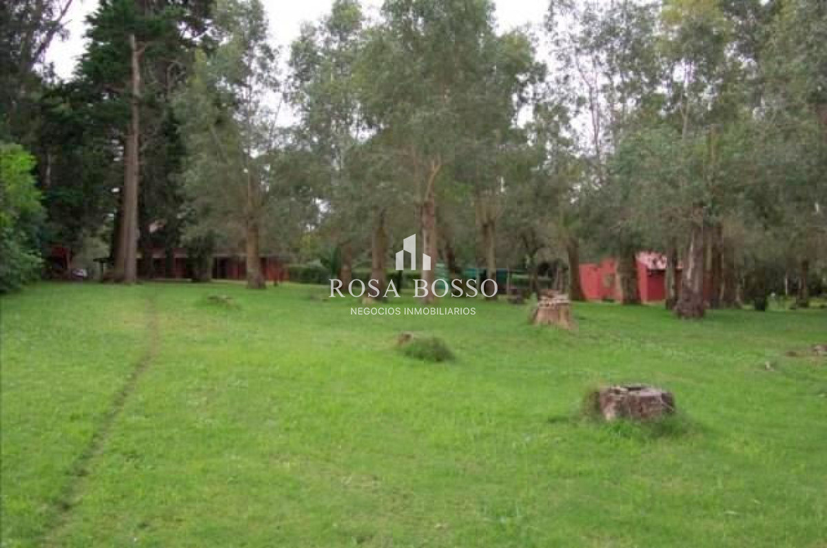 Chacra ID.4569 - 