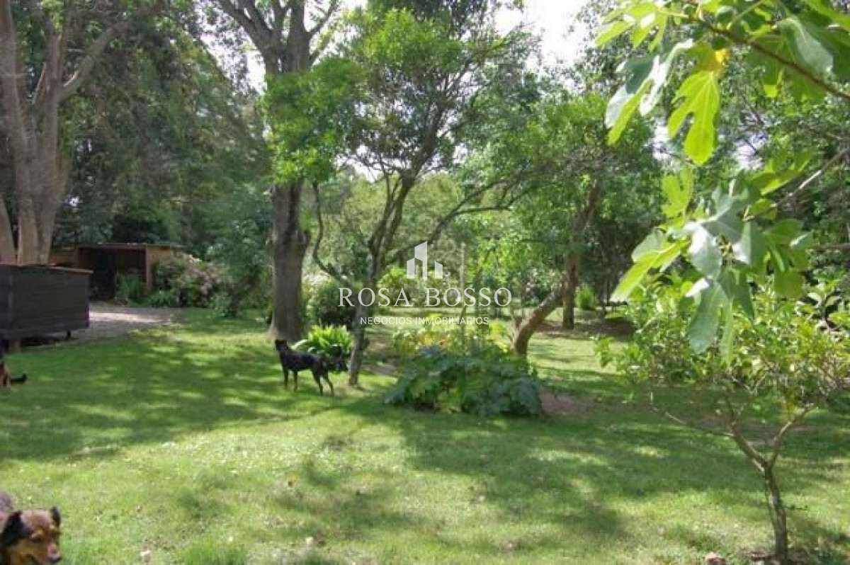 Chacra ID.4569 - 