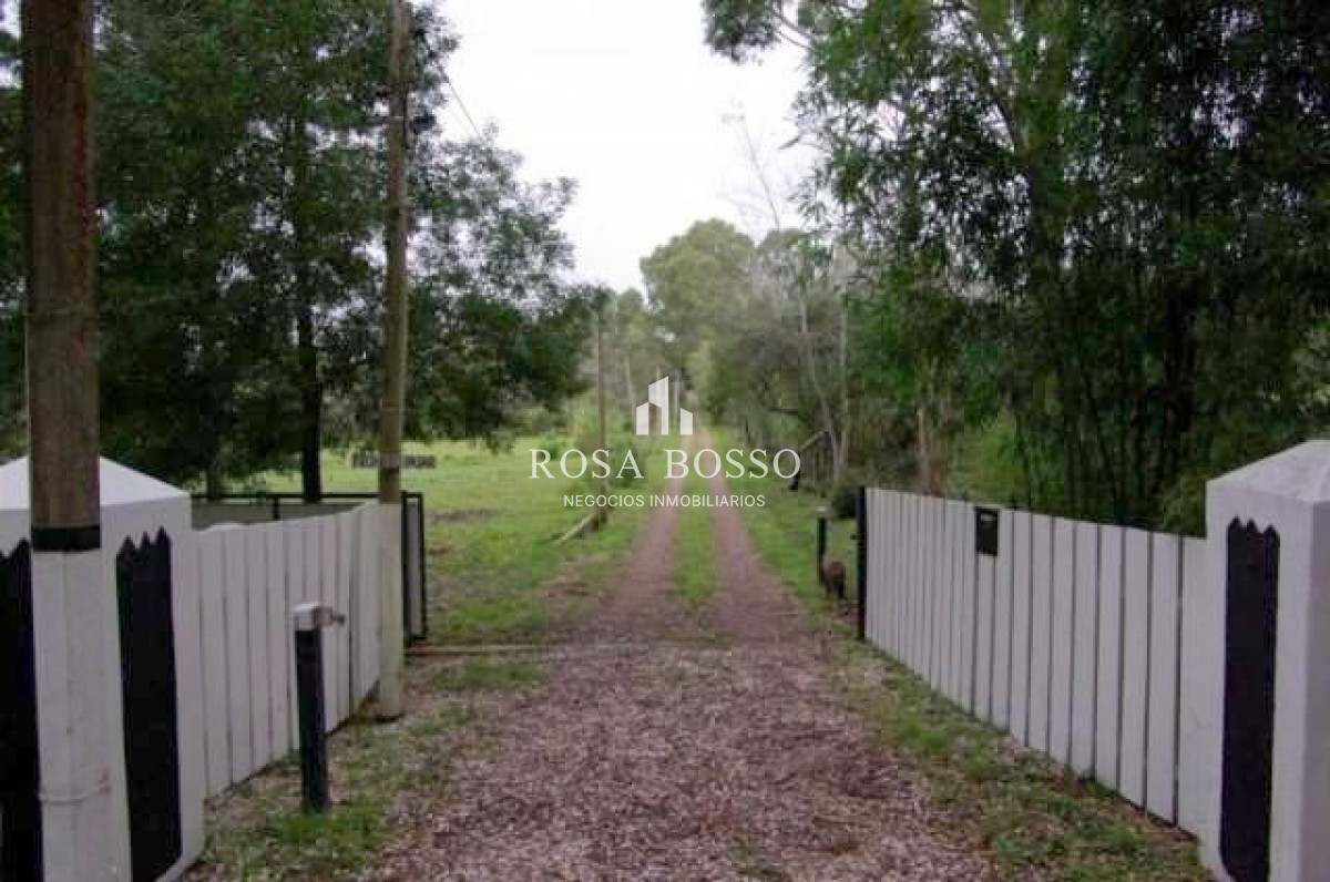 Chacra ID.4569 - 