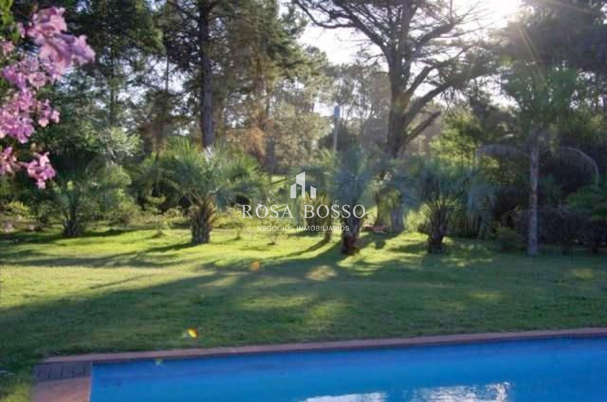 Chacra ID.4569 - 