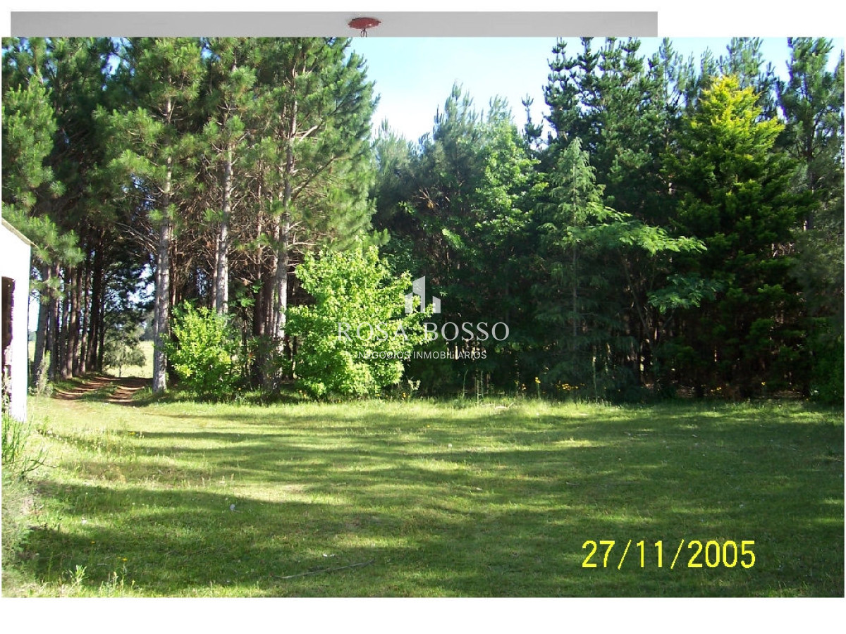 Chacra, Venta, Ruta 9, 5 has. - GoPunta - Portal Inmobiliario de Punta del Este - Maldonado
