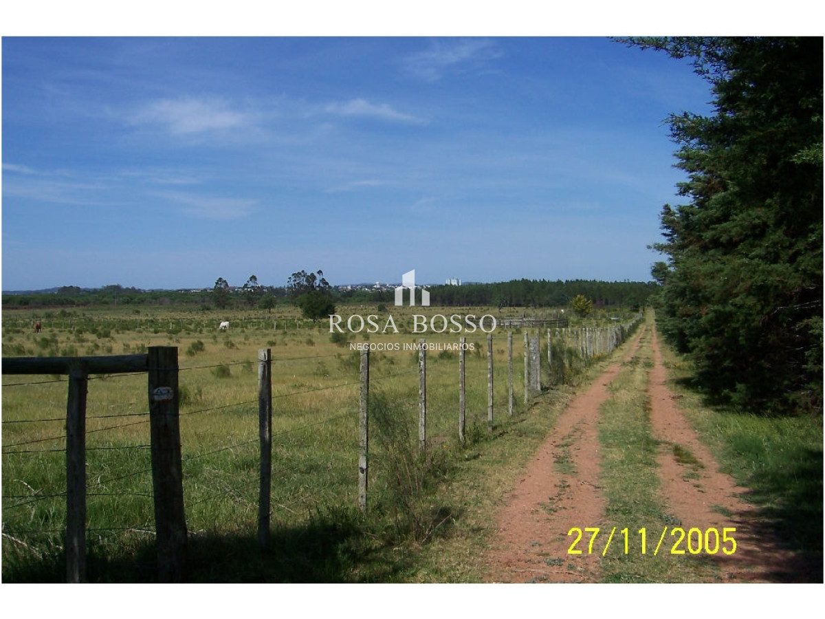 Chacra, Venta, Ruta 9, 5 has. - GoPunta - Portal Inmobiliario de Punta del Este - Maldonado