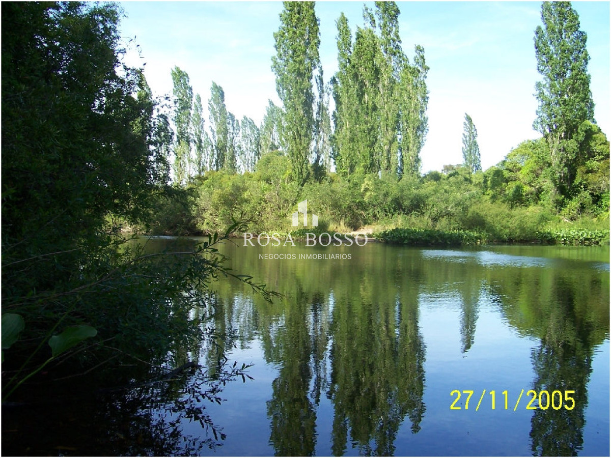 Chacra, Venta, Ruta 9, 5 has. - GoPunta - Portal Inmobiliario de Punta del Este - Maldonado