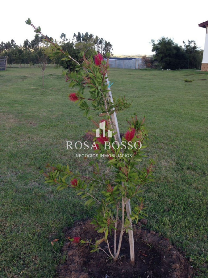 Chacra ID.4600 - 