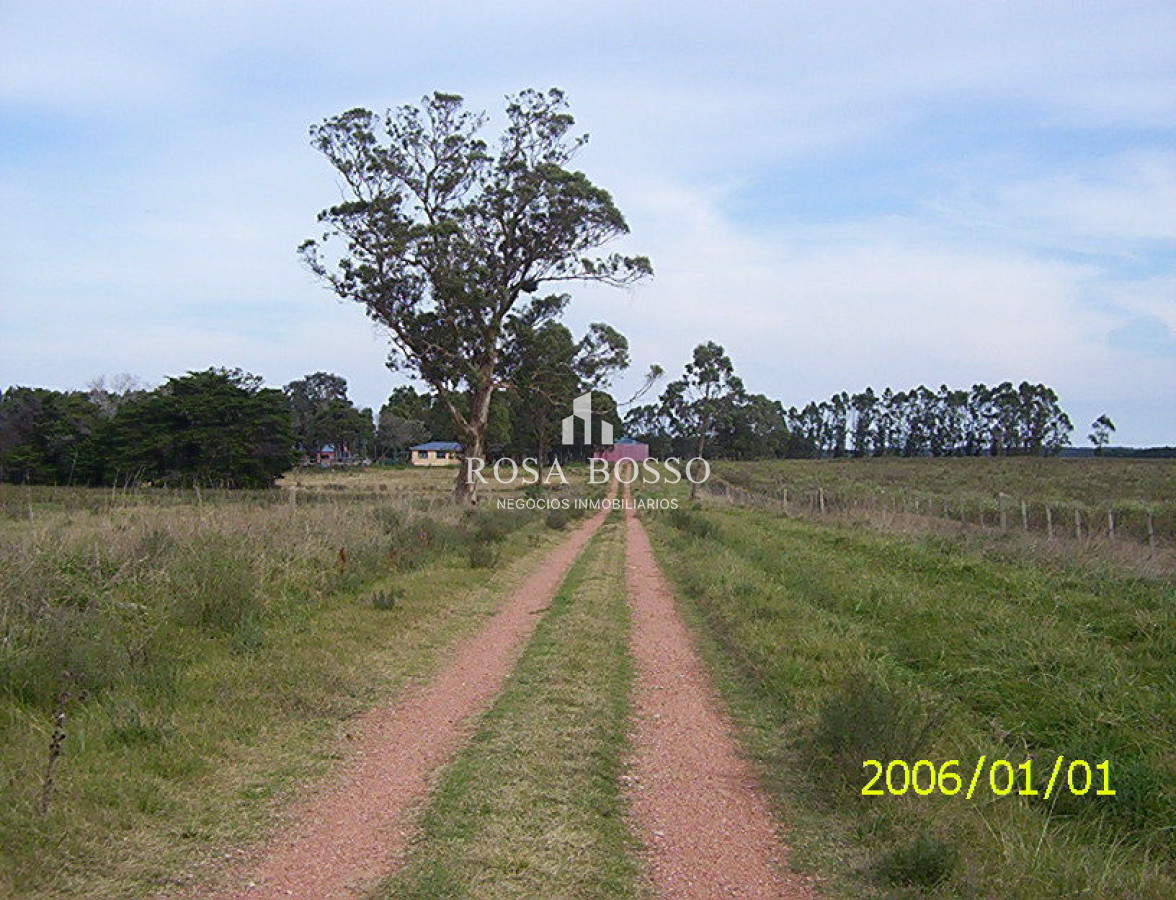 Chacra ID.4418 - 