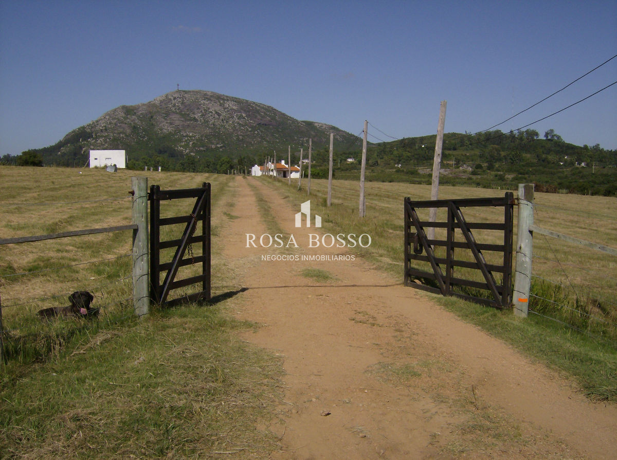 Apartamento ID.4438 - 