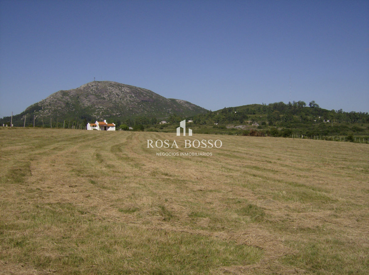 Apartamento ID.4438 - 