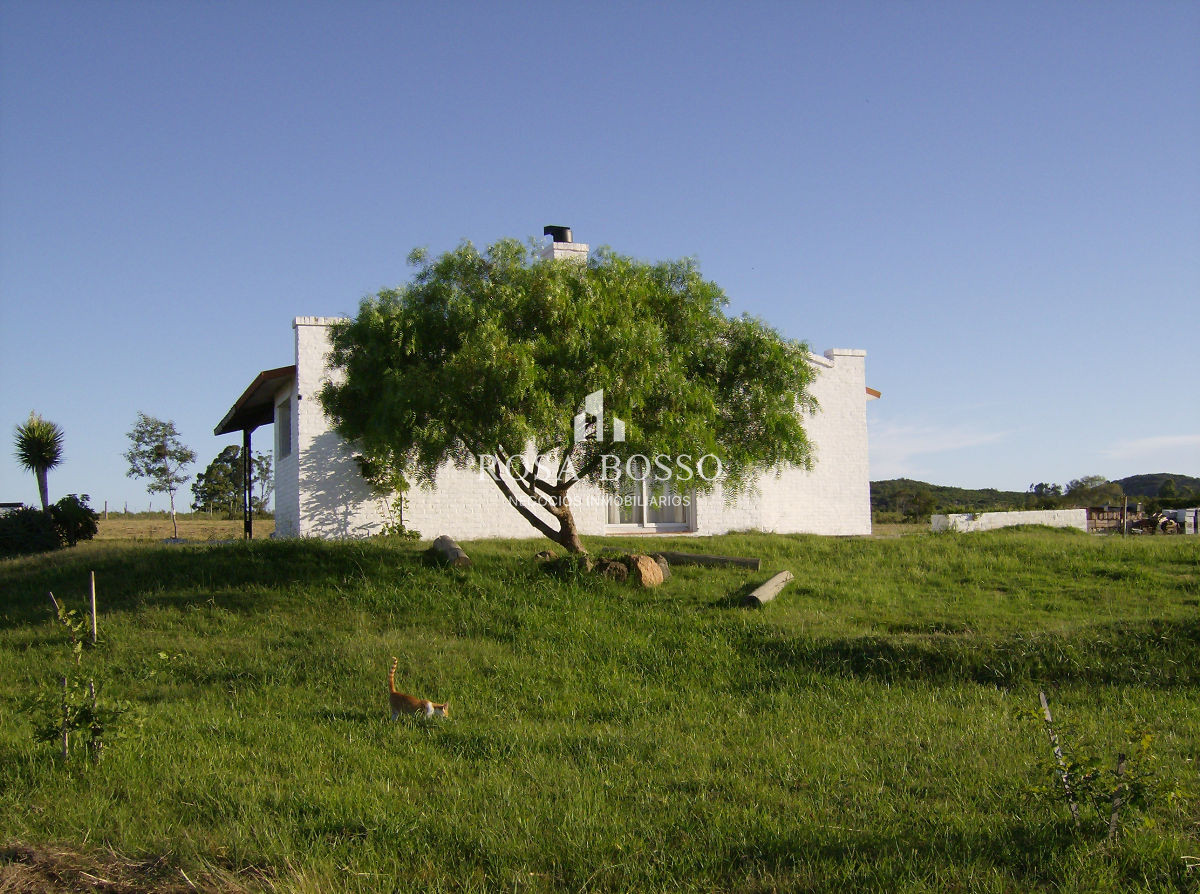 Apartamento ID.4438 - 