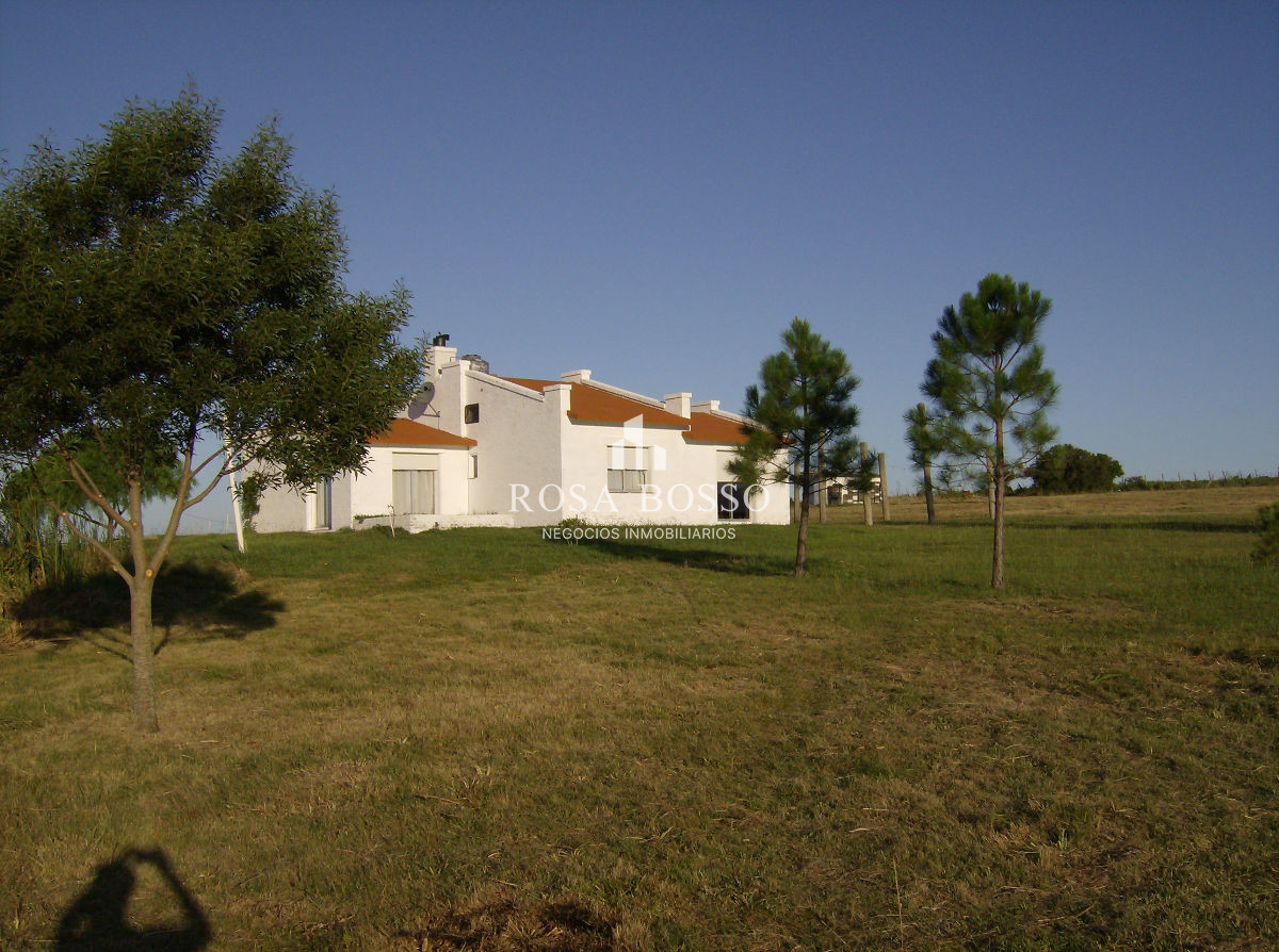 Apartamento ID.4438 - 