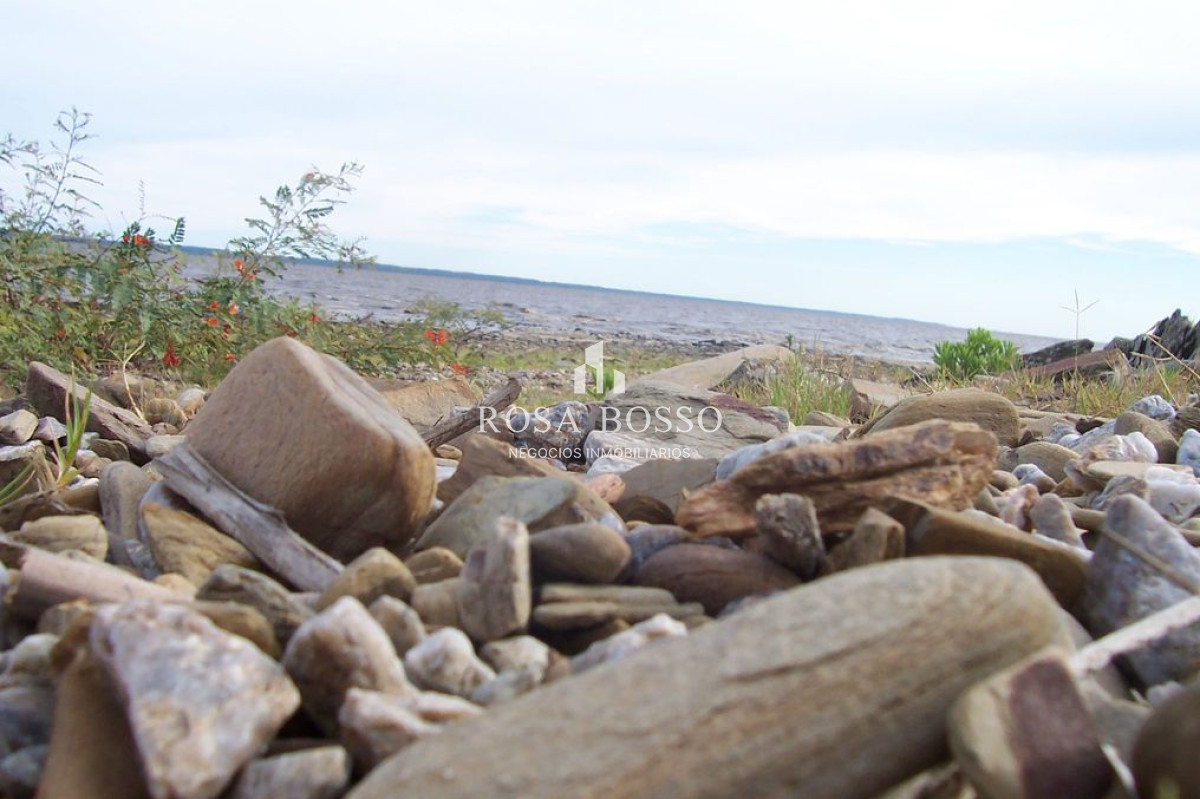 Chacra ID.4477 - 