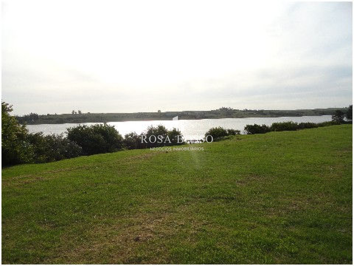 Chacra ID.4503 - 