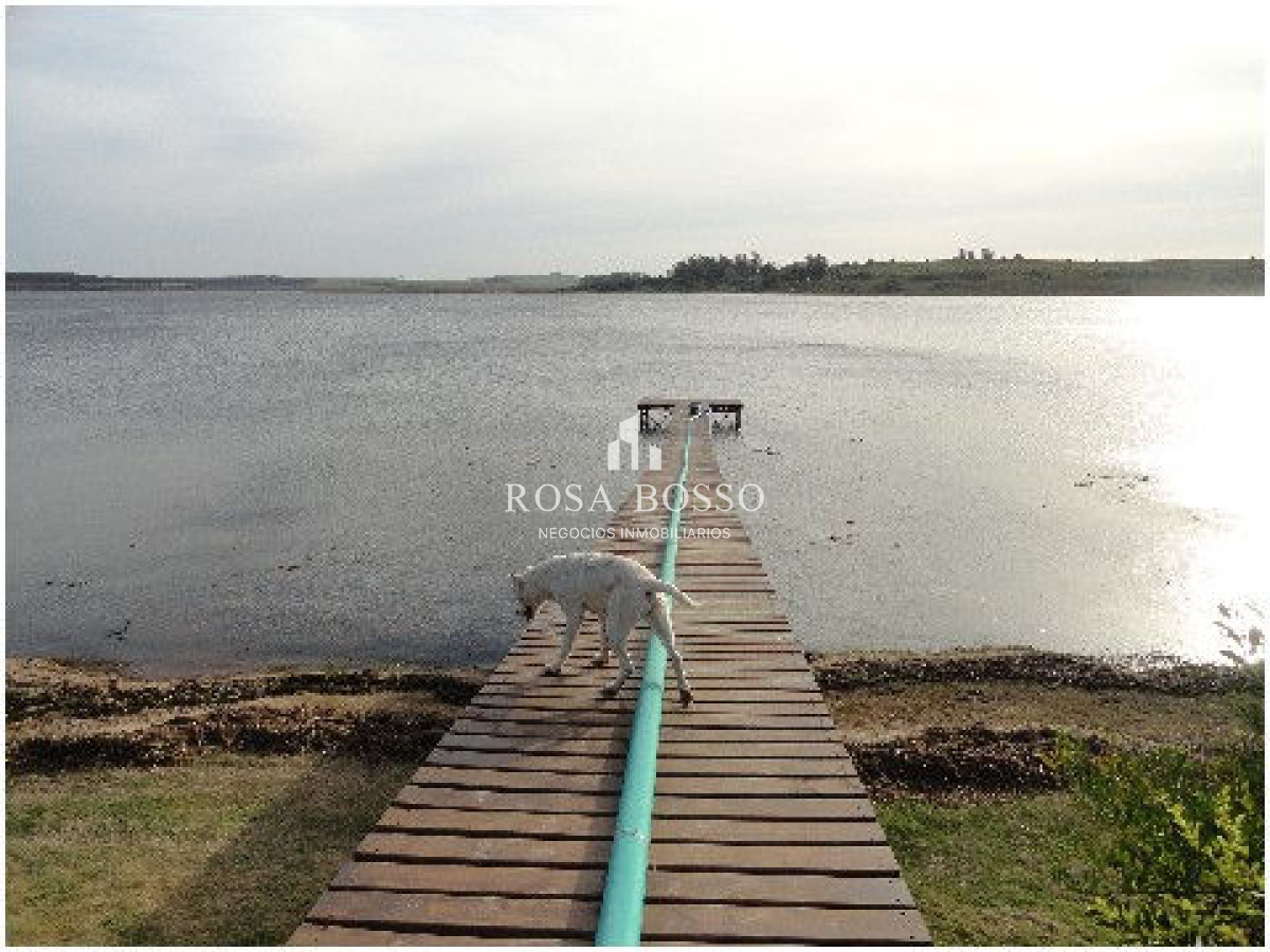 Chacra ID.4503 - 