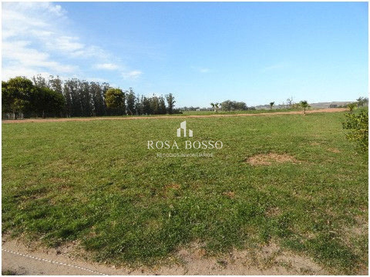 Chacra ID.4503 - 