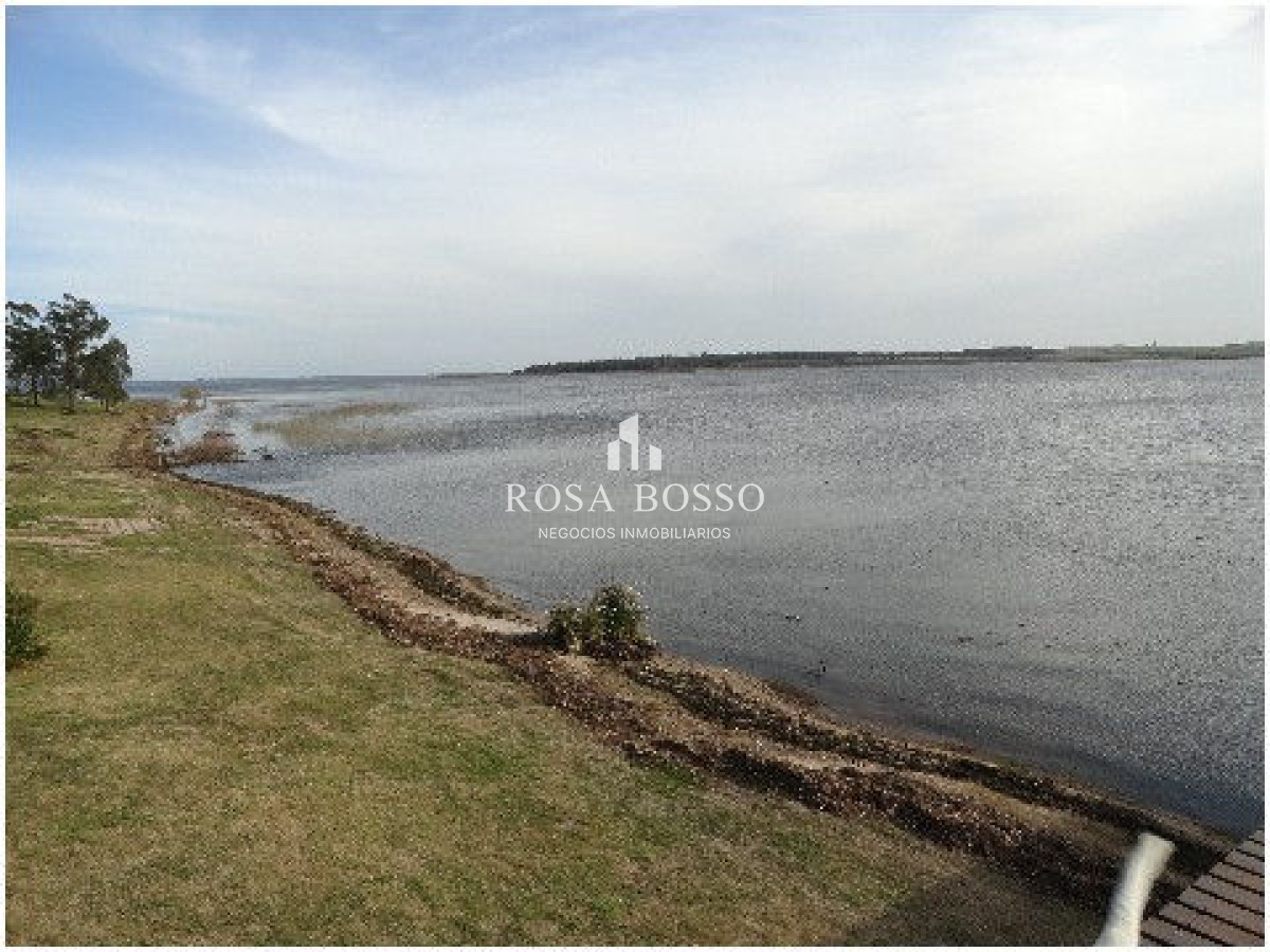 Chacra ID.4503 - 