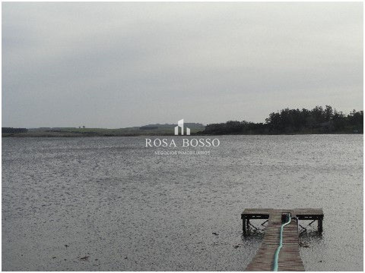 Chacra ID.4503 - 