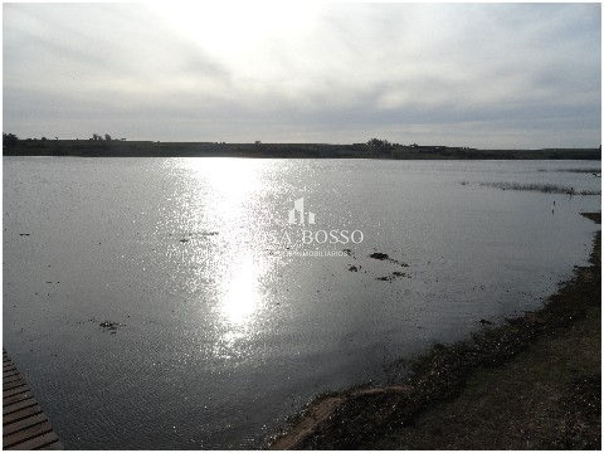 Chacra ID.4503 - 