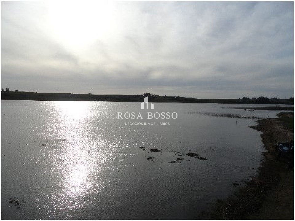 Chacra ID.4503 - 