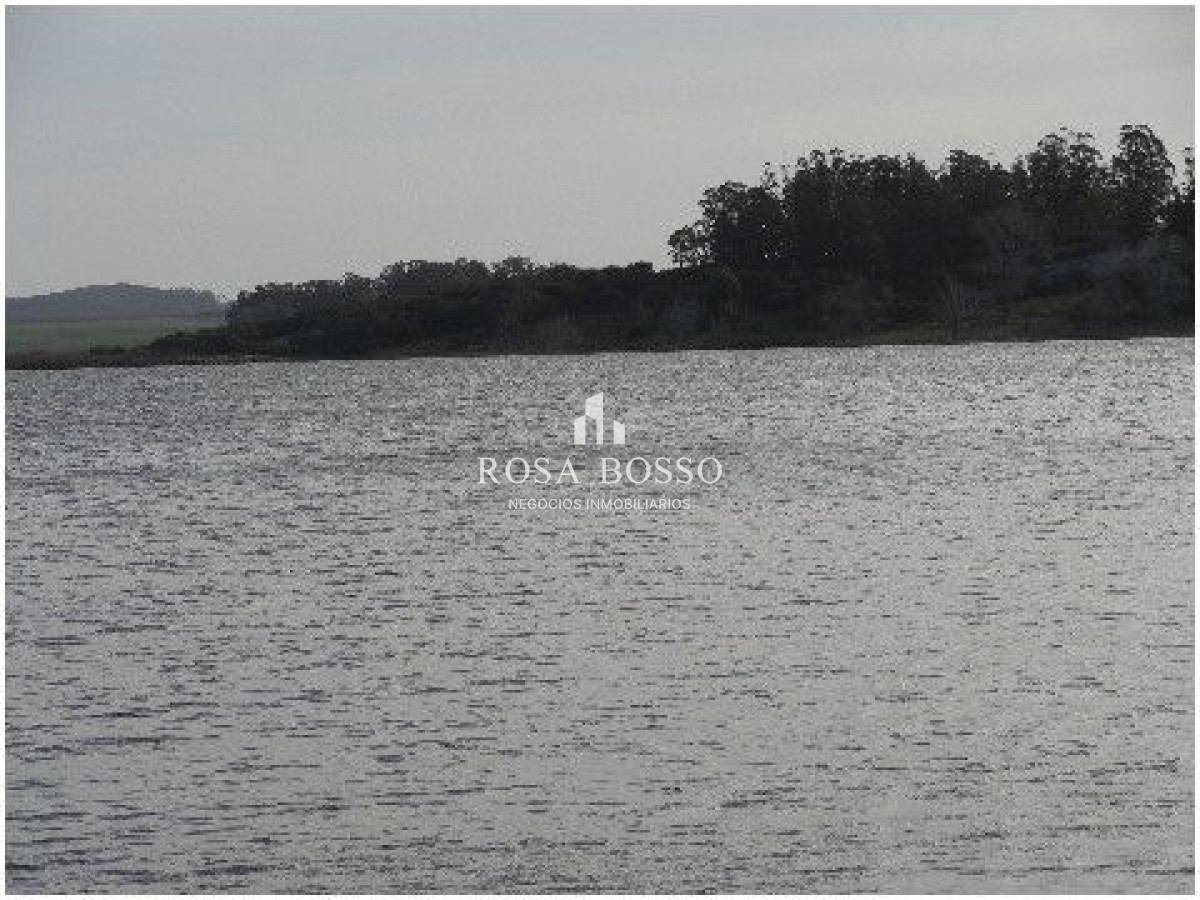 Chacra ID.4503 - 