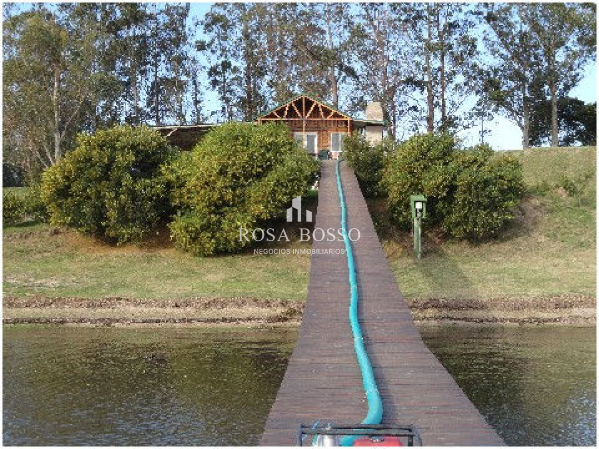 Chacra ID.4503 - 