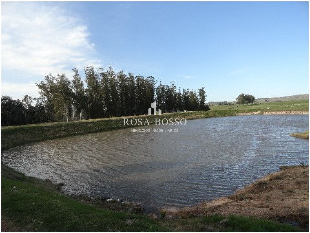 Chacra ID.4503 - 