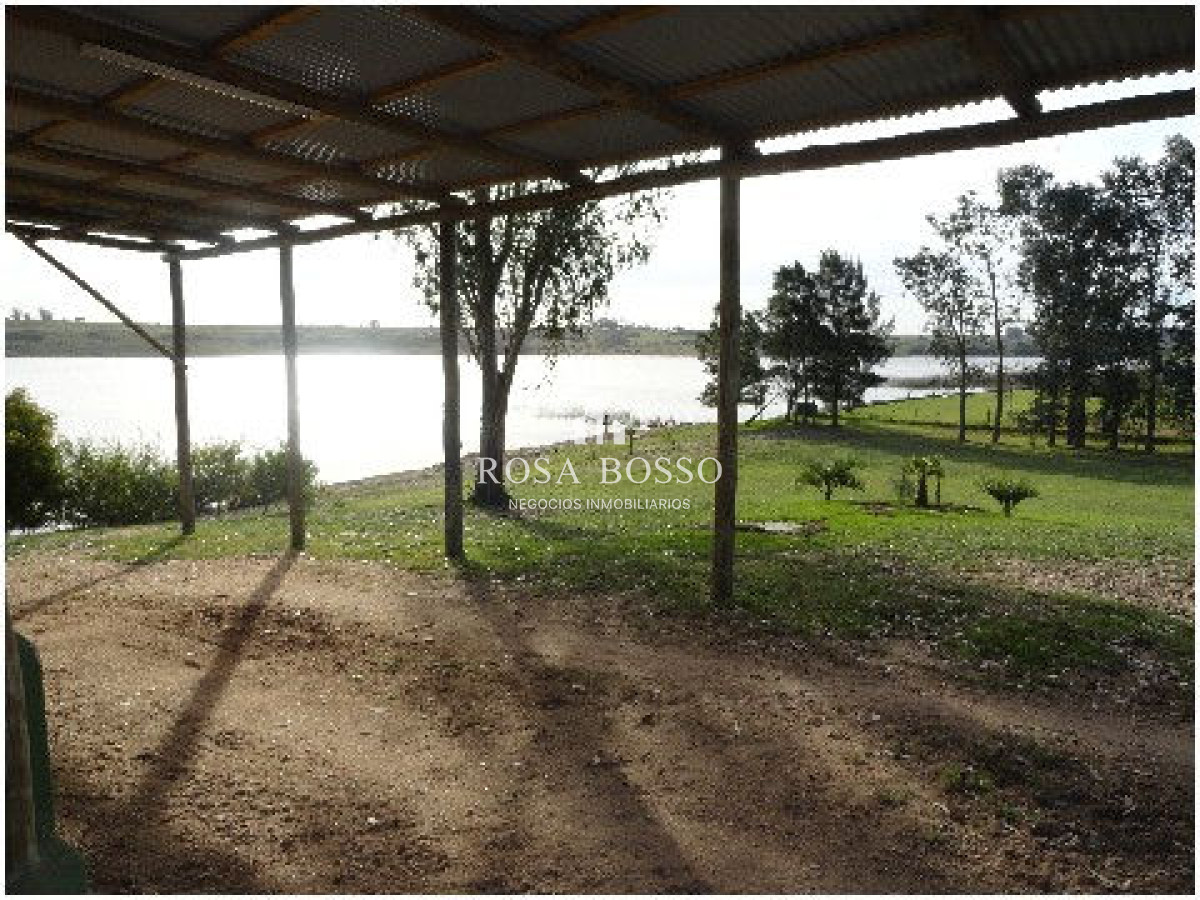 Chacra ID.4503 - 