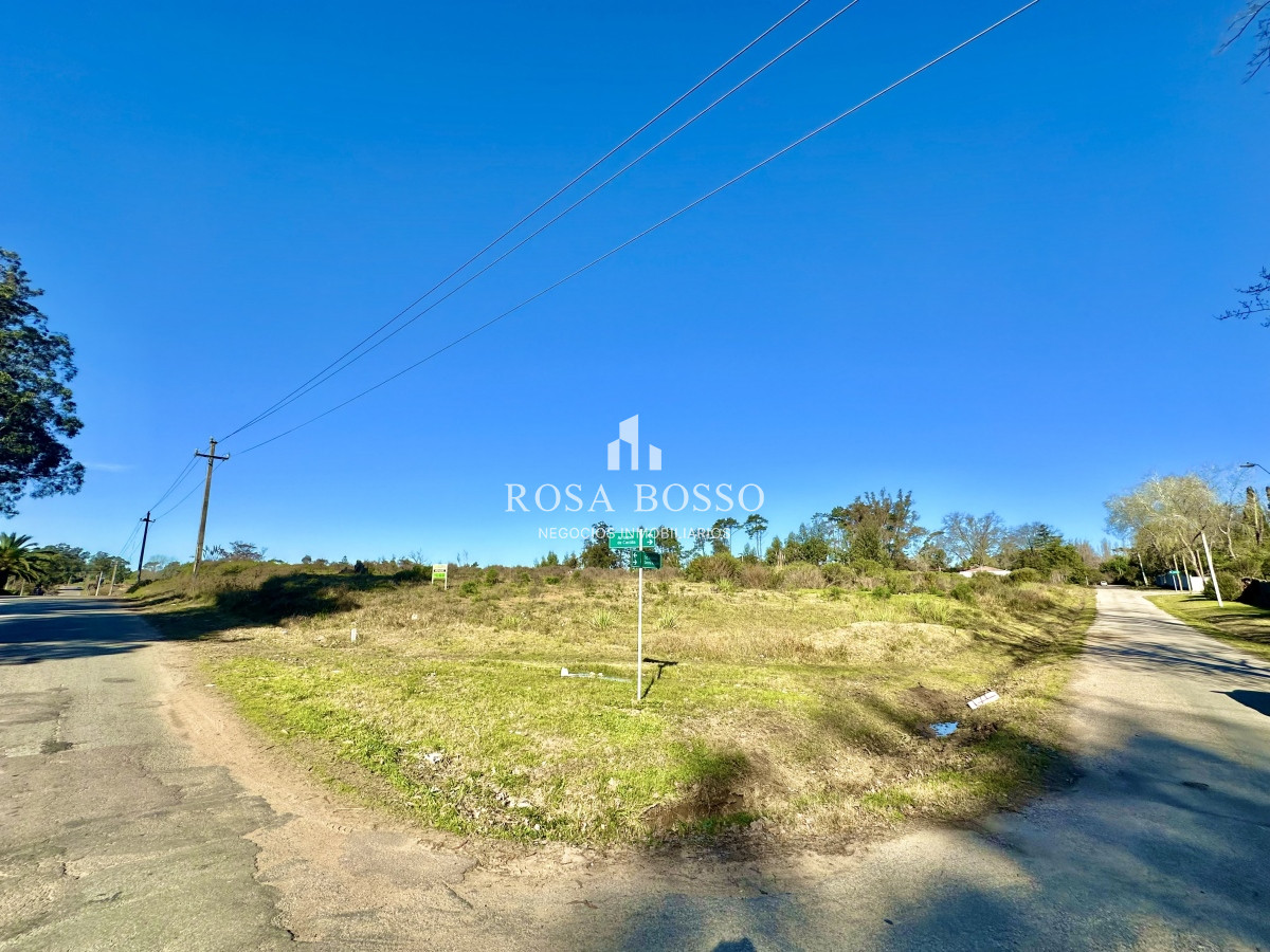Golf - GoPunta - Portal Inmobiliario de Punta del Este - Maldonado