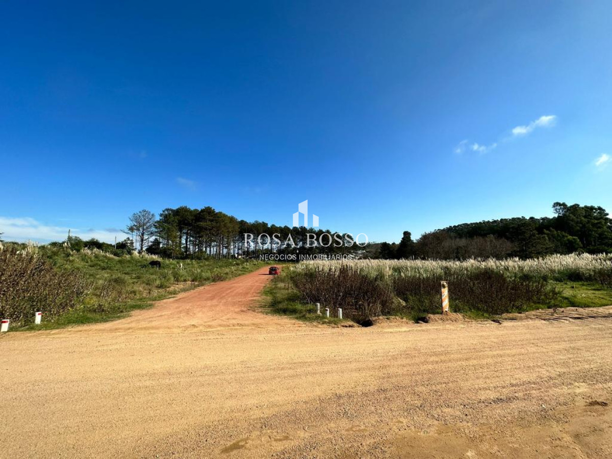 Altos de la Laguna - GoPunta - Portal Inmobiliario de Punta del Este - Maldonado
