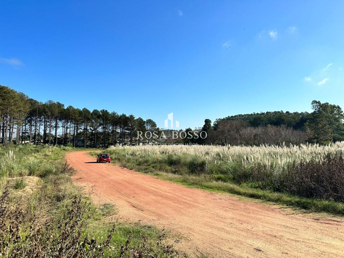 Altos de la Laguna - GoPunta - Portal Inmobiliario de Punta del Este - Maldonado