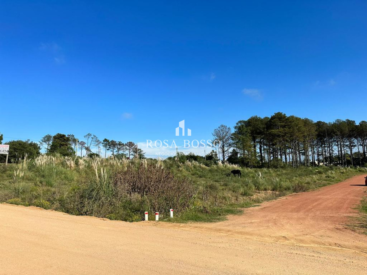 Altos de la Laguna - GoPunta - Portal Inmobiliario de Punta del Este - Maldonado