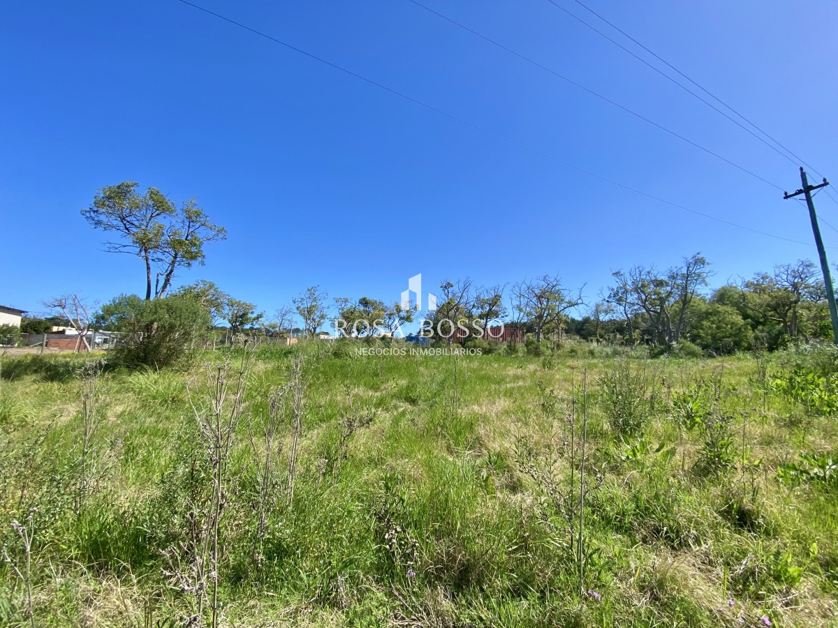 Piedras del Chileno - GoPunta - Portal Inmobiliario de Punta del Este - Maldonado